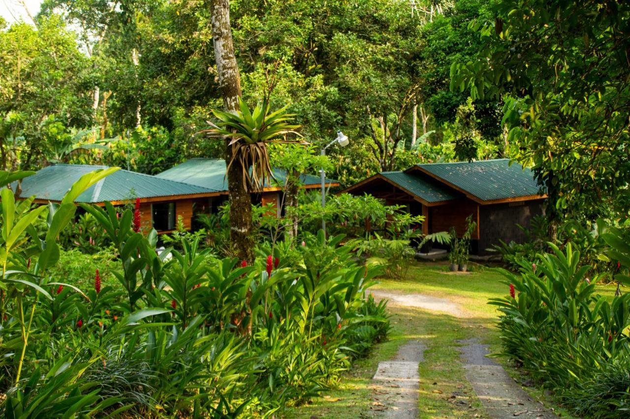 Eden Organic Farm & Bungalows Ла Фортуна Экстерьер фото