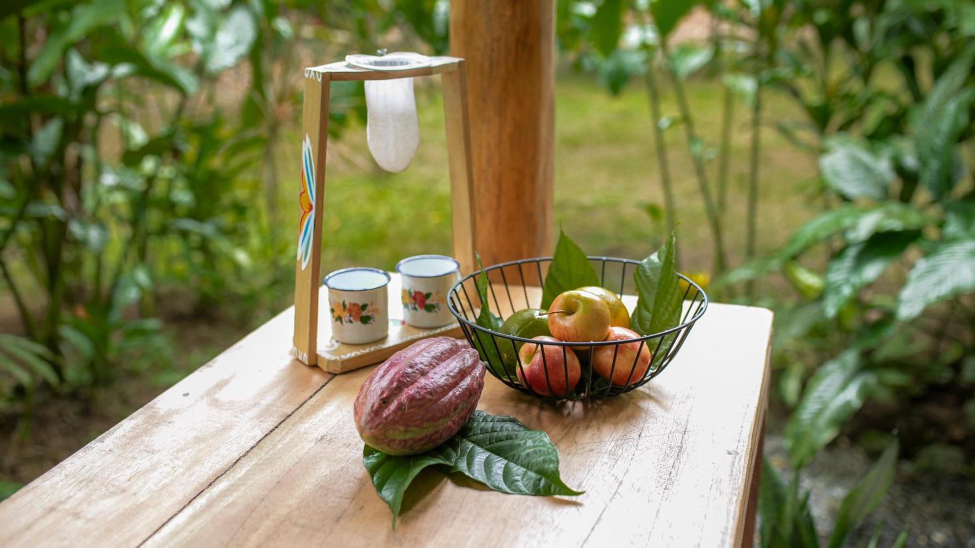 Eden Organic Farm & Bungalows Ла Фортуна Экстерьер фото
